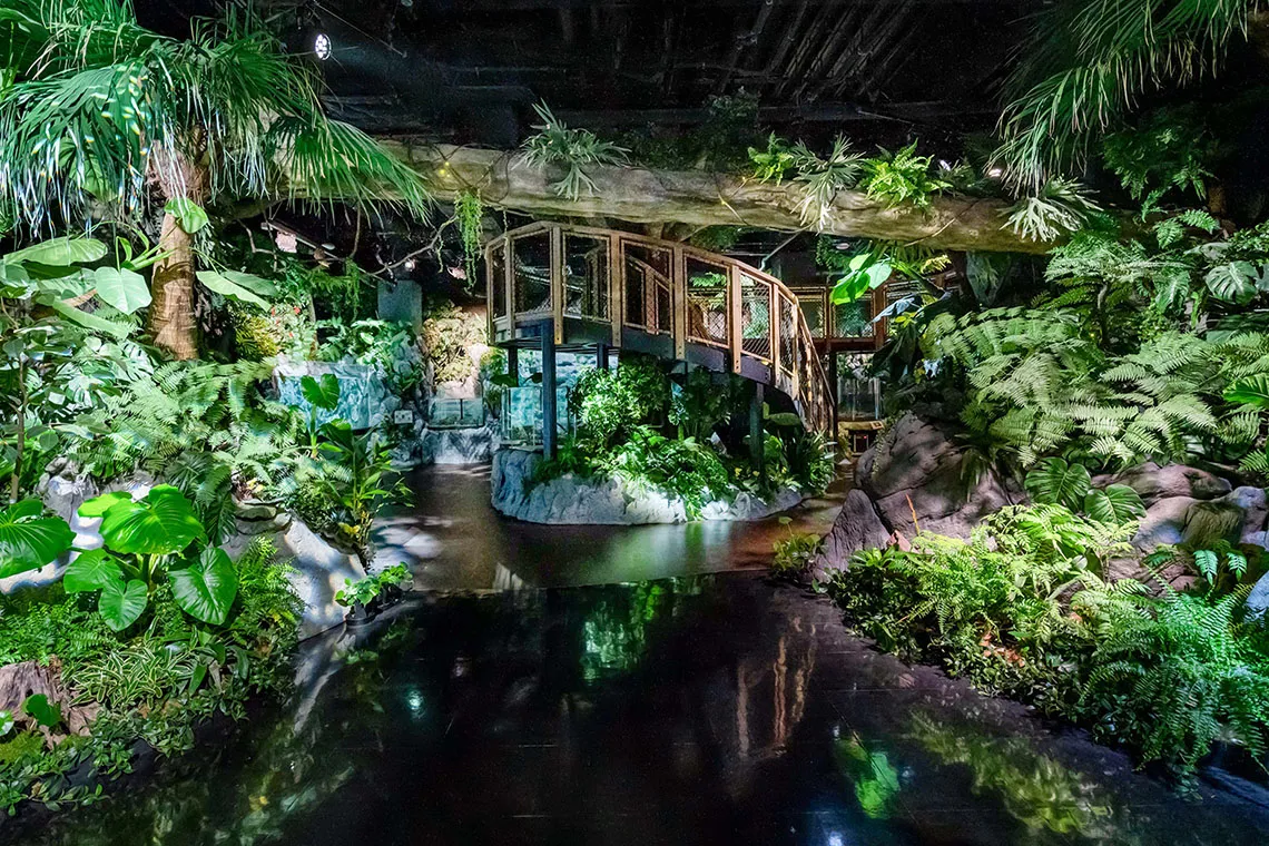 aquarium tank full of tropical fish and coral